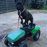 MAYA a rejoint le concours — aidez-le/la à gagner de superbes lots !