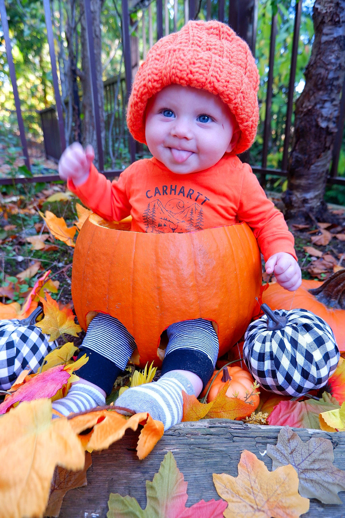 Luke joined the competition — help win amazing prizes! baby, baby_toddler_clothing, calabaza, child, eye, face, fun, grass, happy, headwear, jacket, leaf, leisure, orange, people_in_nature, person, plant, pumpkin, recreation, smile