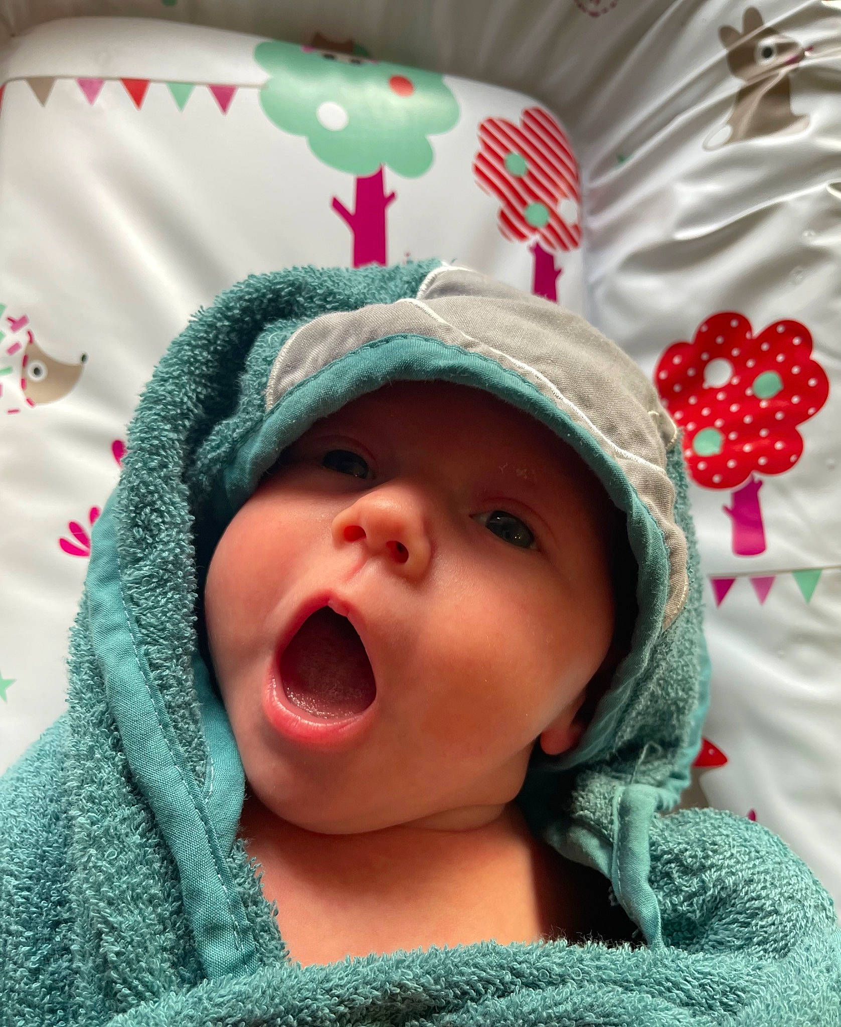 Lily participe au concours pour gagner de l'argent avec cette photo : baby, cap, cheek, child, comfort, eye, eyebrow, eyelash, face, happy, headgear, headwear, lip, mouth, nose, outerwear, person, pink, skin, smile