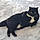 Bagheera