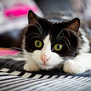 Titou participe au concours pour gagner de l'argent avec cette photo :