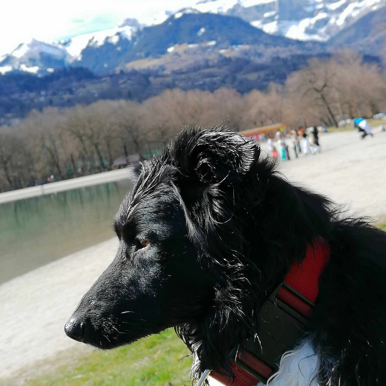 Laya