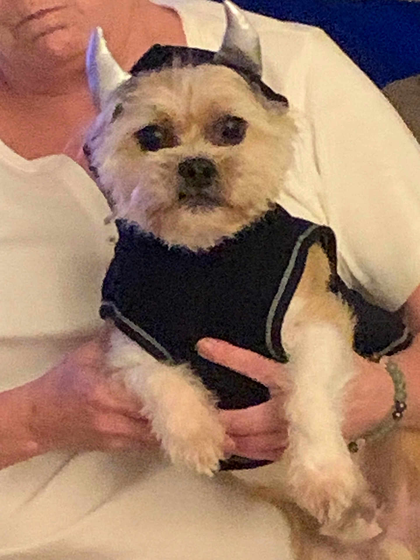 Max