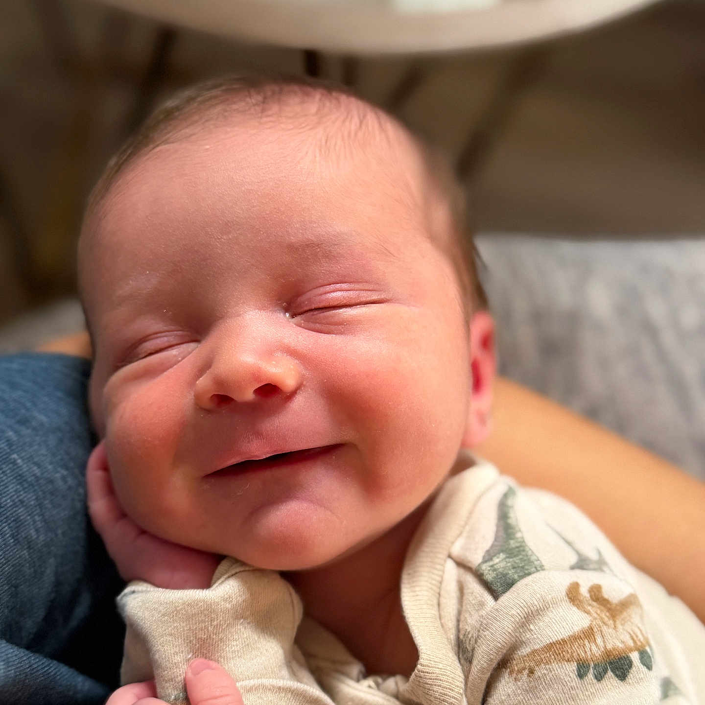 Hudson is registered to the contest to win money with this photo: baby, newborn, smiling, sleeping, infant, cute, face, hand, cozy, clothing, dinosaur_print, portrait, closeup, child, peaceful, soft_light, indoor, happy, resting, person
