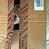 cat, cardboard_box, evidence_tape, peeking, eye, curious, pet, animal, brown, box, tape, closeup, indoor, feline, whiskers, striped, container, hidden, playful, curiosity