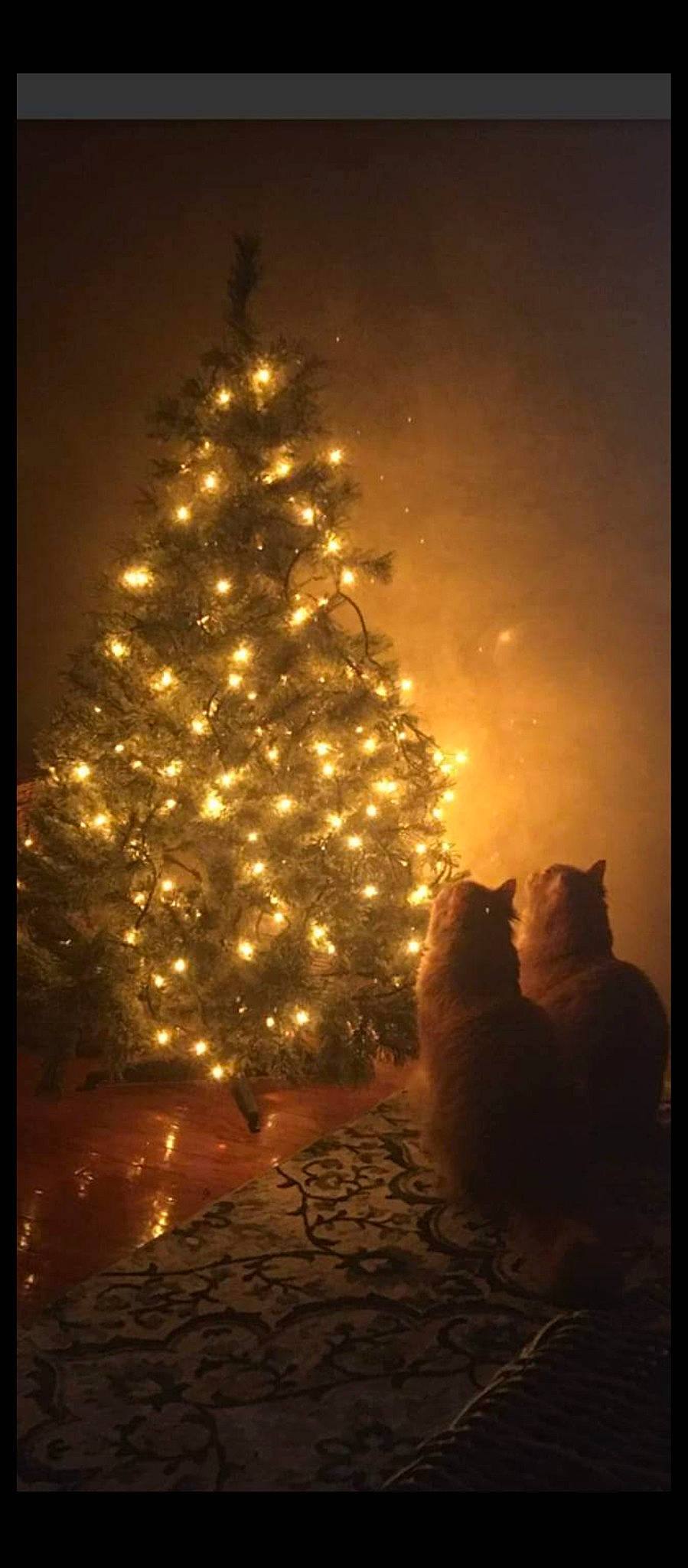 Sebastian And Mohica