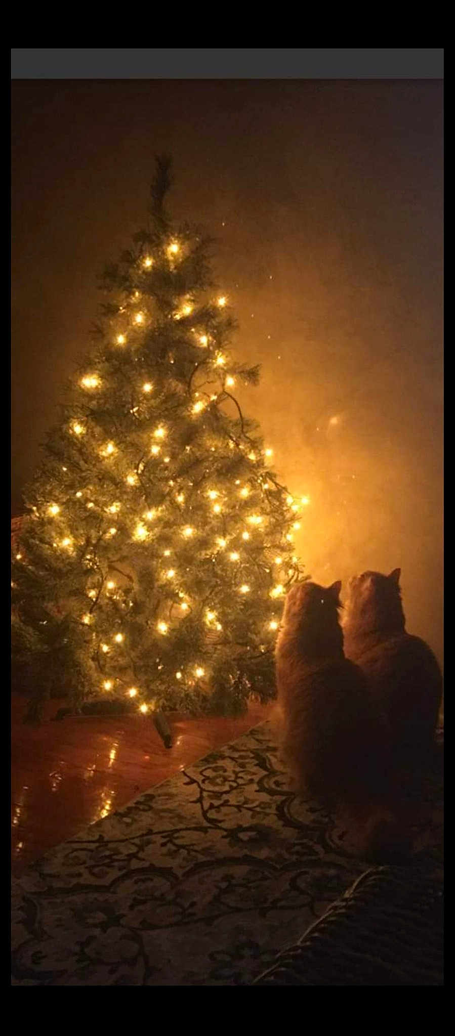 Sebastian And Mohica