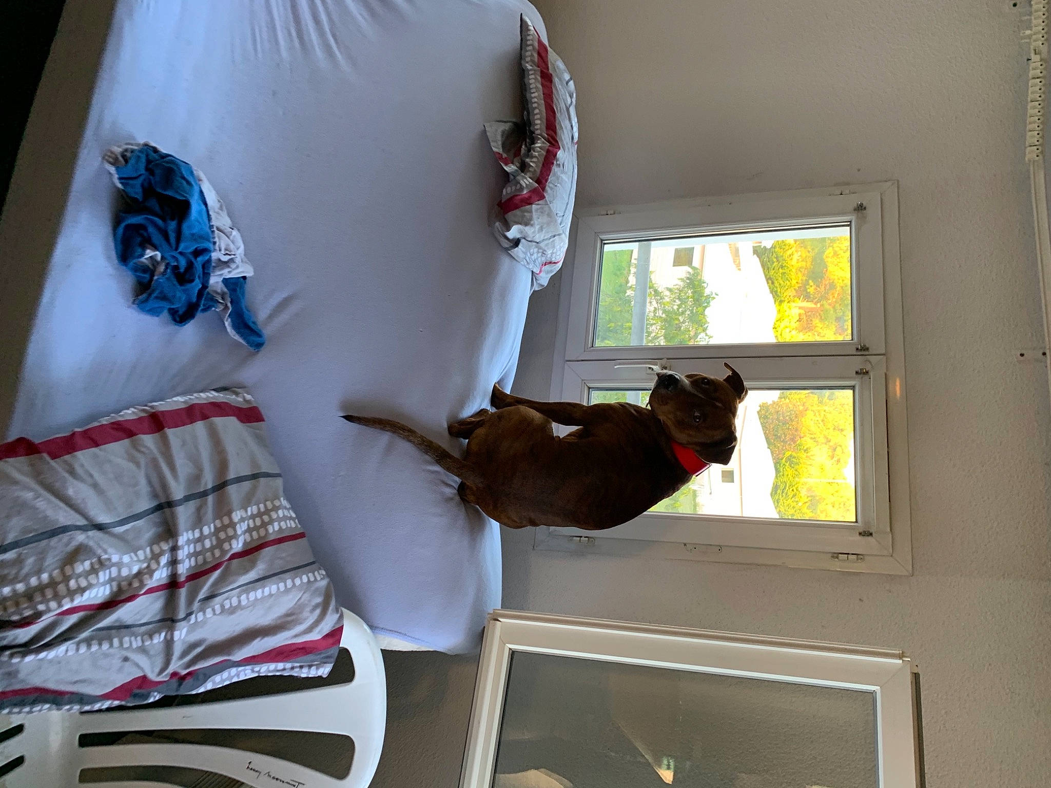 Tyron a rejoint le concours — aidez-le/la à gagner de superbes lots ! interior_design, room, window