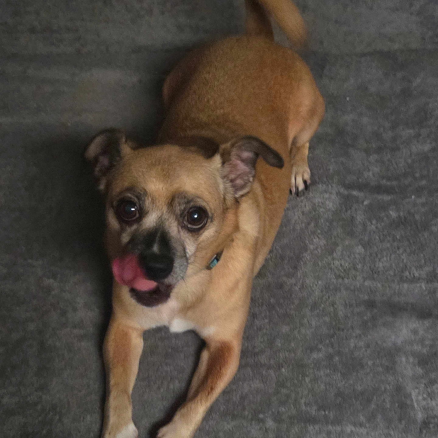Max