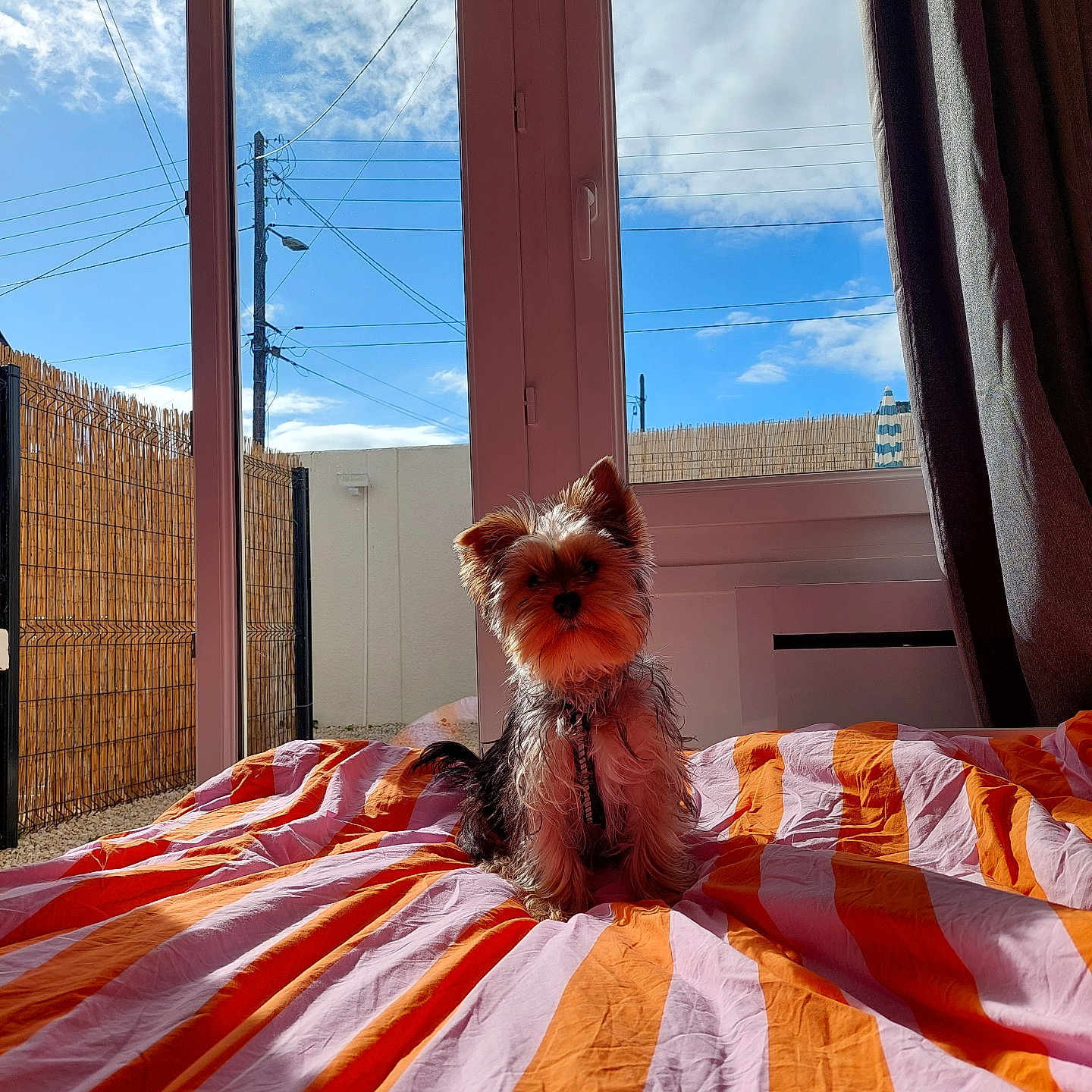 Winnie