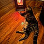 cat, tabby_cat, wooden_floor, heater, indoor, warm_light, relaxing, pet, feline, striped, fur, cozy, comfort, animal, resting, domestic, household, quiet, evening, orange_light
