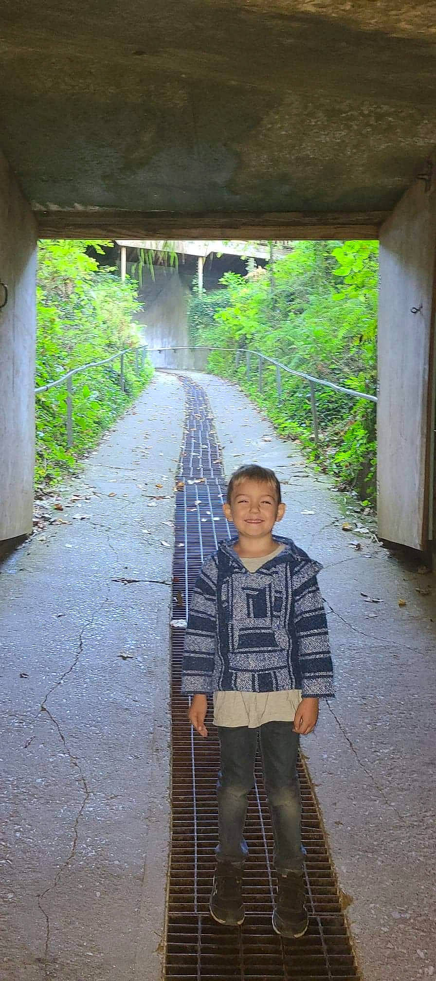 Braxton joined the competition — help win amazing prizes! alley, arch, cobblestone, flooring, infrastructure, joy, leisure, morning, person, plaid, plant, road, road_surface, rural_area, street, temple, tourism, transport, travel, tunnel