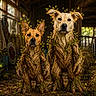 dogs, canines, two_animals, portrait, standing, rustic, woodland, forest, tree_costumes, bark, leaves, branches, fireflies, workshop, barn, indoor, fantasy, magical, front_facing, animal_portrait