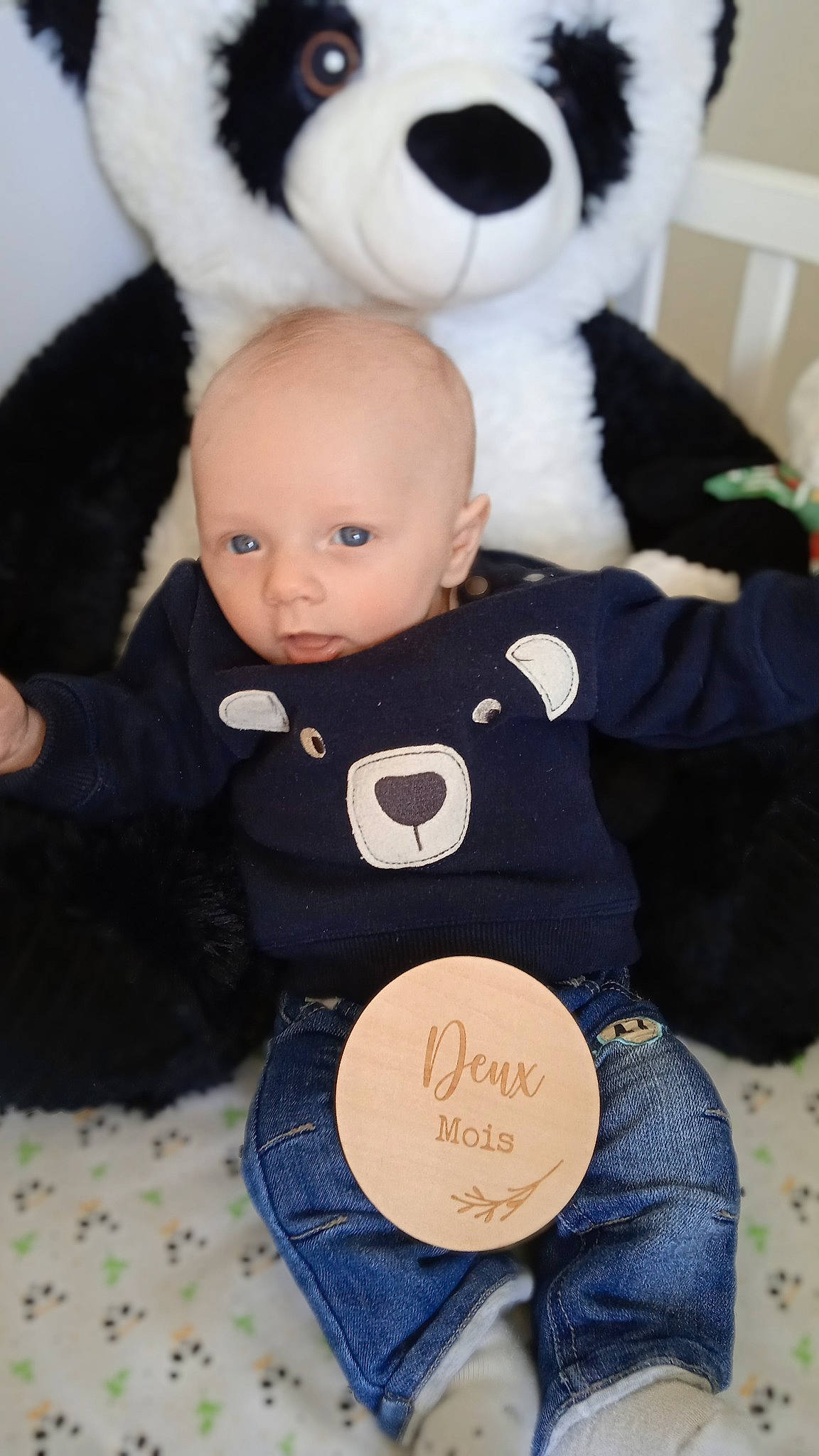 Simon participe au concours pour gagner de l'argent avec cette photo : baby_toys, bear, black, brown, cheek, child, doll, fur, head, mammal, organ, panda, person, plush, skin, stuffed_toy, teddy_bear, textile, toy, vertebrate