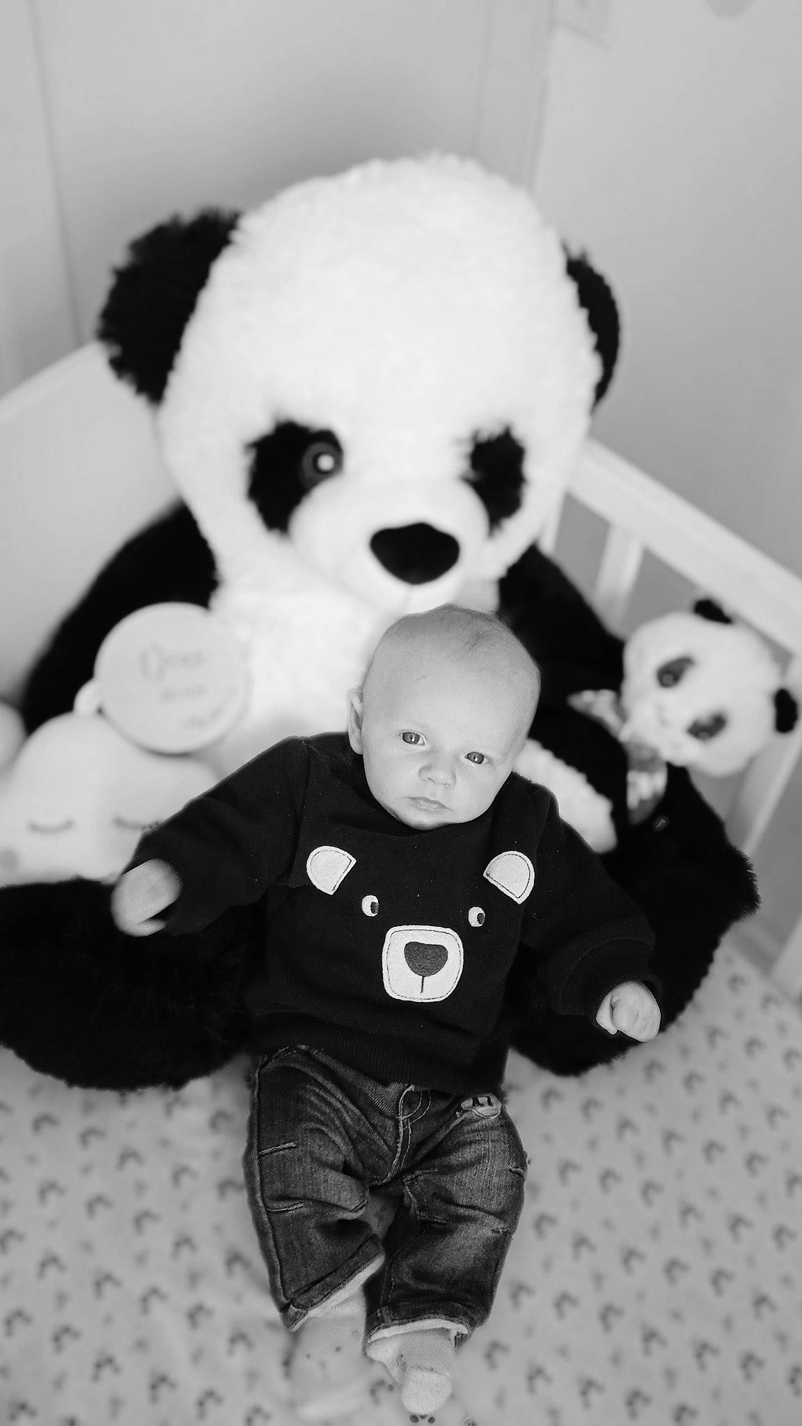 Simon a rejoint le concours — aidez-le/la à gagner de superbes lots ! black, black_and_white, eye, facial_expression, font, happy, head, human, mammal, monochrome, nose, organ, panda, person, photograph, stuffed_toy, style, textile, toy, vertebrate