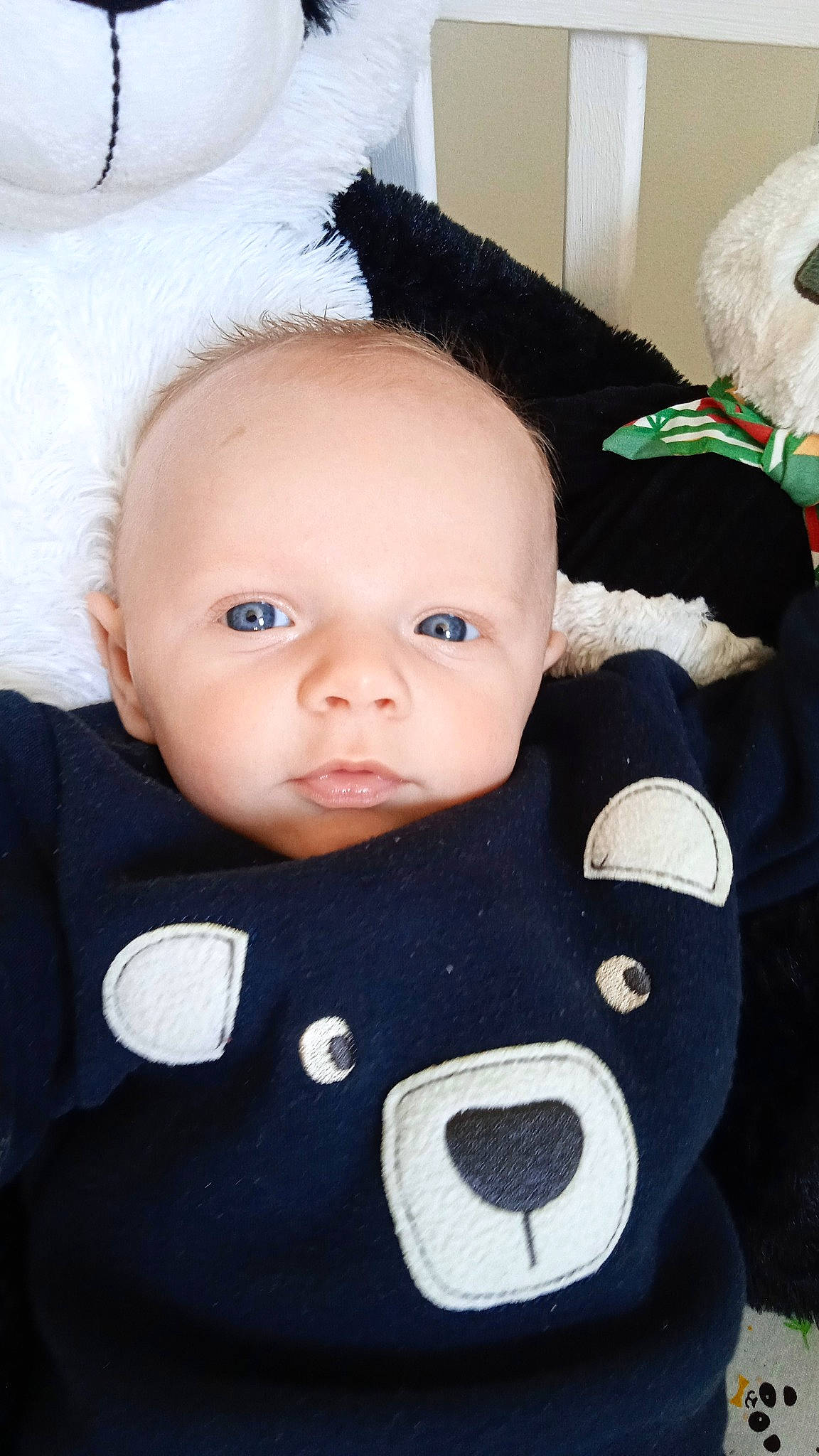 Simon participe au concours pour gagner de l'argent avec cette photo : baby, baby_toddler_clothing, cheek, child, eye, eyebrow, eyelash, face, fur, hairstyle, human_body, iris, nose, person, room, skin, sleeve, textile, toddler, toy