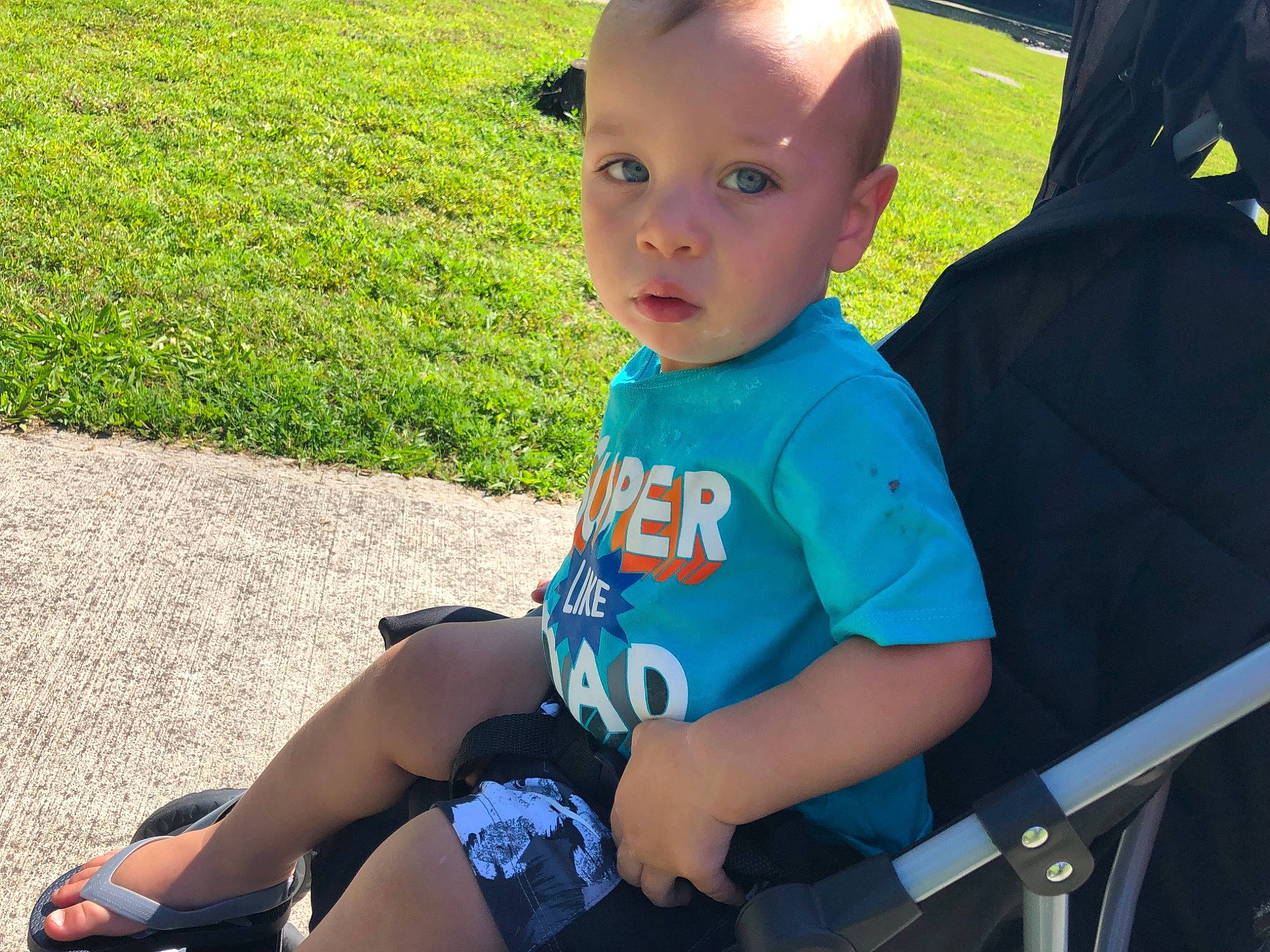Maverick is registered to the contest to win money with this photo: baby, baby_carriage, baby_products, child, cool, grass, head, lap, leg, leisure, male, person, plant, product, recreation, sitting, skin, summer, toddler, tree