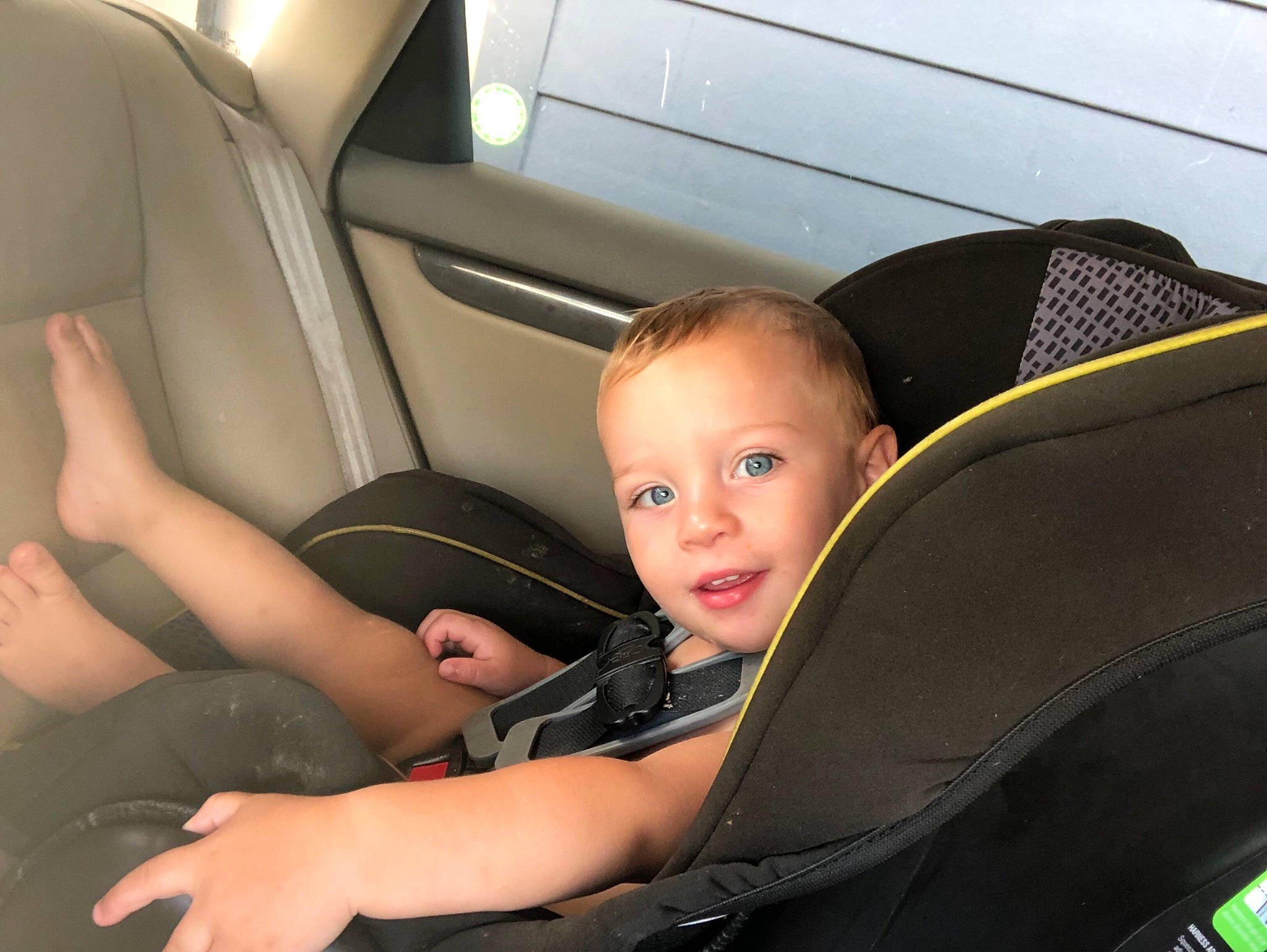 Maverick joined the competition — help win amazing prizes! auto_part, baby_in_car_seat, baby_products, car_seat, car_seat_cover, child, comfort, family_car, head_restraint, person, product, seat_belt, steering_wheel, vehicle, vehicle_door