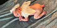 éthan participe au concours pour gagner de l'argent avec cette photo : baby, infant, angel, wings, halo, naked, lying_down, blue_blanket, soft_texture, cute, newborn, skin, small, peaceful, side_view, indoors, portrait, child, sleepy, resting