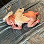 baby, infant, angel, wings, halo, naked, lying_down, blue_blanket, soft_texture, cute, newborn, skin, small, peaceful, side_view, indoors, portrait, child, sleepy, resting