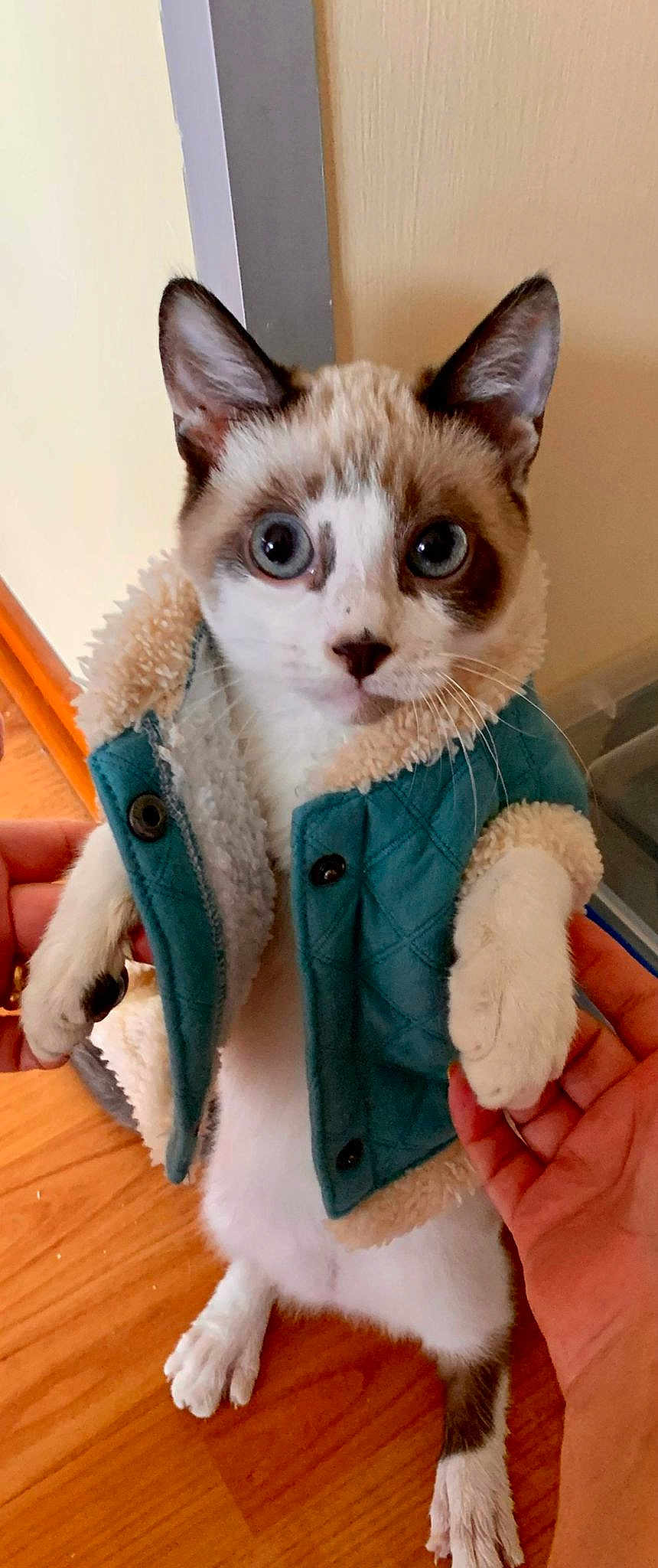 Chester