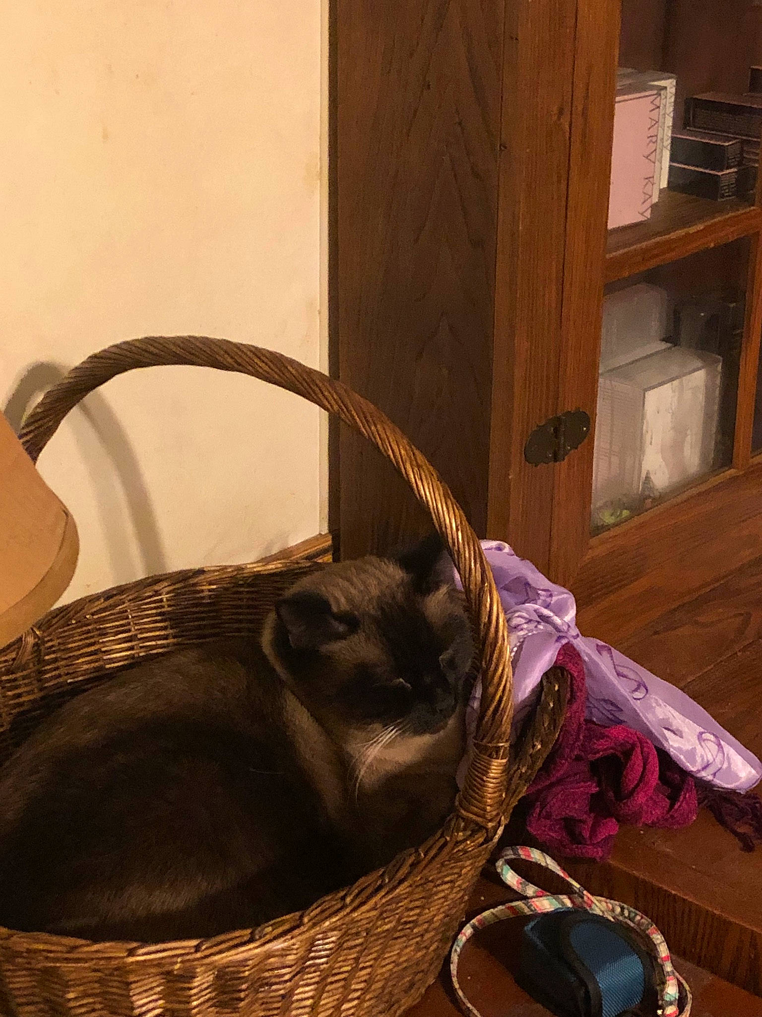 Loki is registered to the contest to win money with this photo: basket, product, still_life, still_life_photography