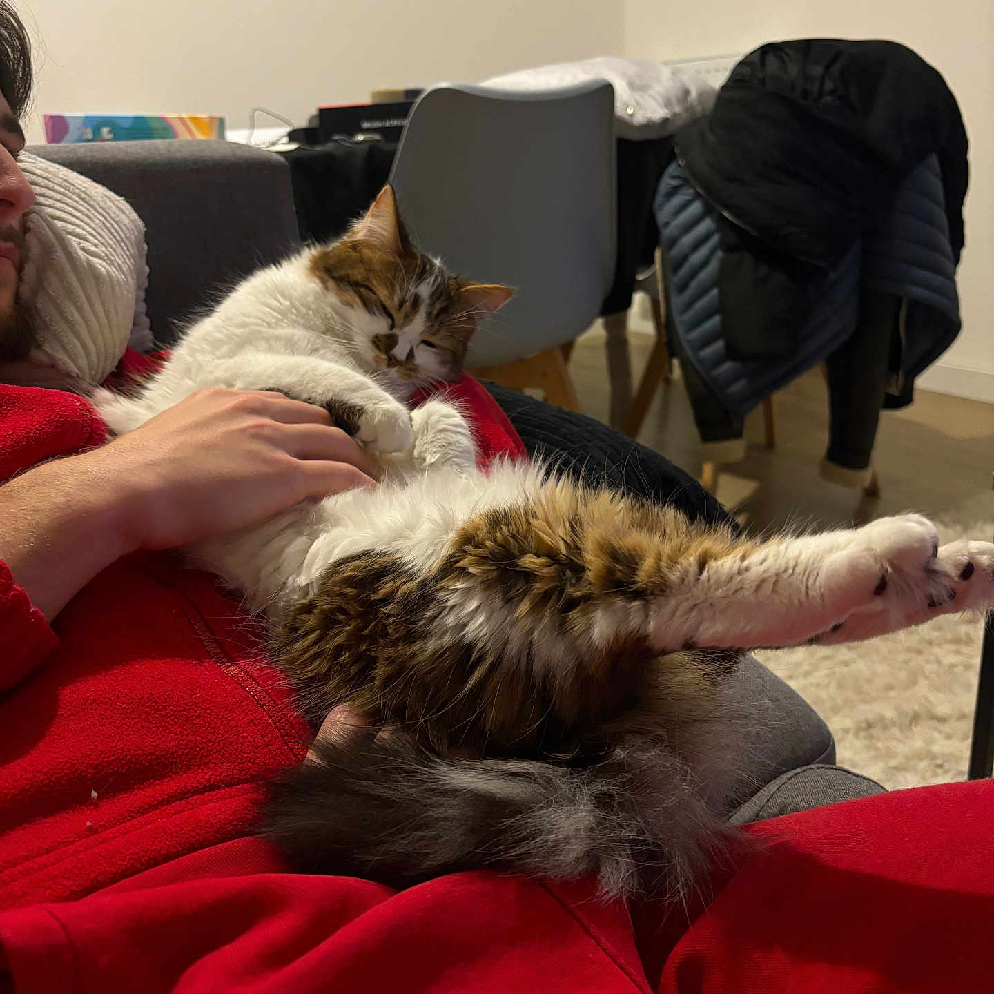 Pepette