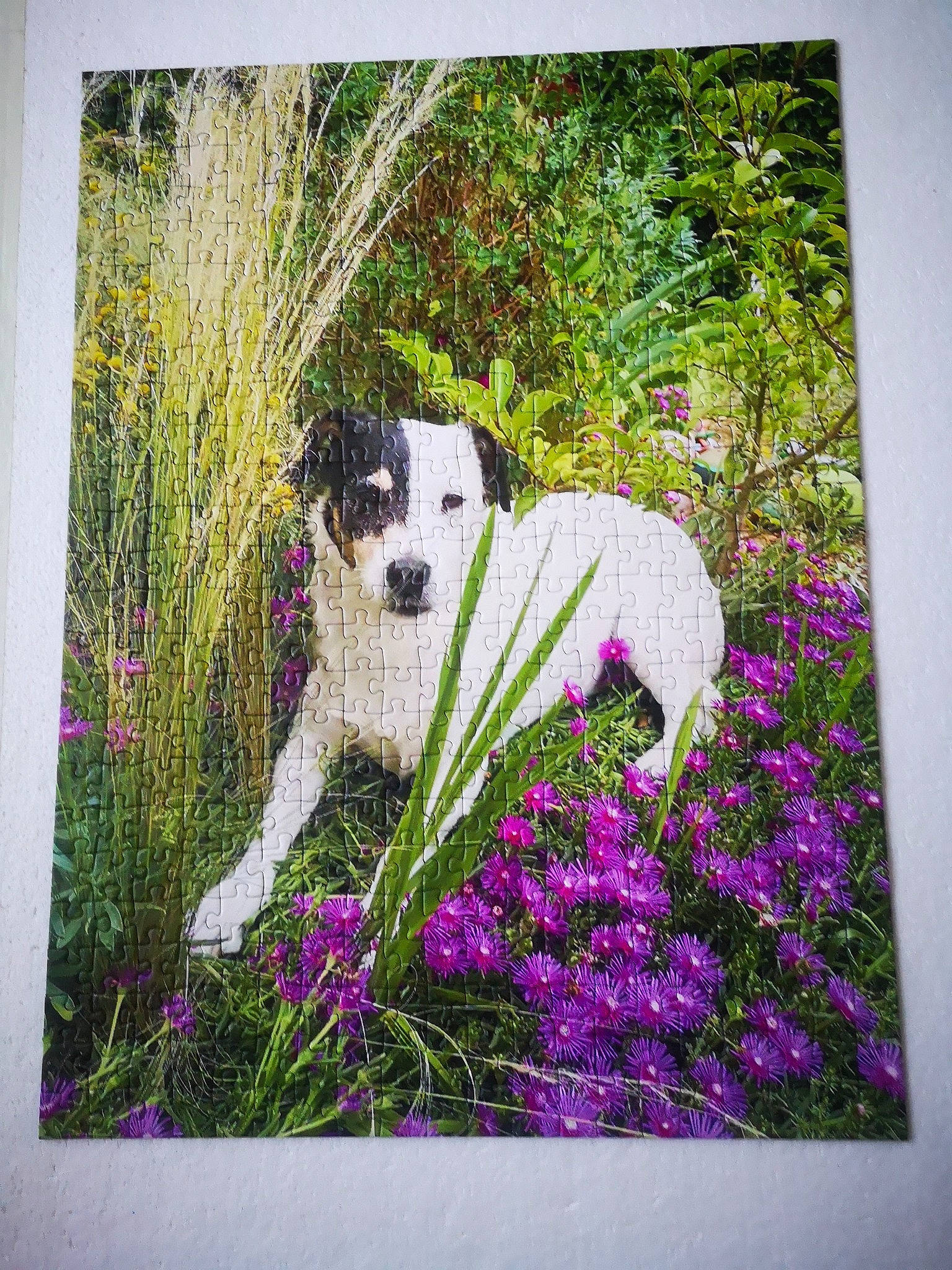 Django participe au concours pour gagner de l'argent avec cette photo : art, carnivore, companion_dog, creative_arts, dog, dog_breed, fawn, flower, grass, illustration, magenta, paint, painting, pattern, people_in_nature, petal, picture_frame, plant, rectangle, visual_arts