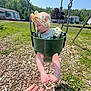 baby, child, swing, playground, headband, green_swing, grass, wood_chips, hand, outdoor, sunny, curious, toddler, clothing, park, trees, residential, daytime, person, legs