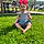 Paisleigh