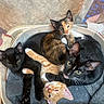 kittens, cats, multiple_cats, calico_cat, black_cat, orange_cat, animal, pet, cute, basket, blanket, cozy, sleeping, sitting, lying_down, green_eyes, whiskers, ears, indoor, group_portrait
