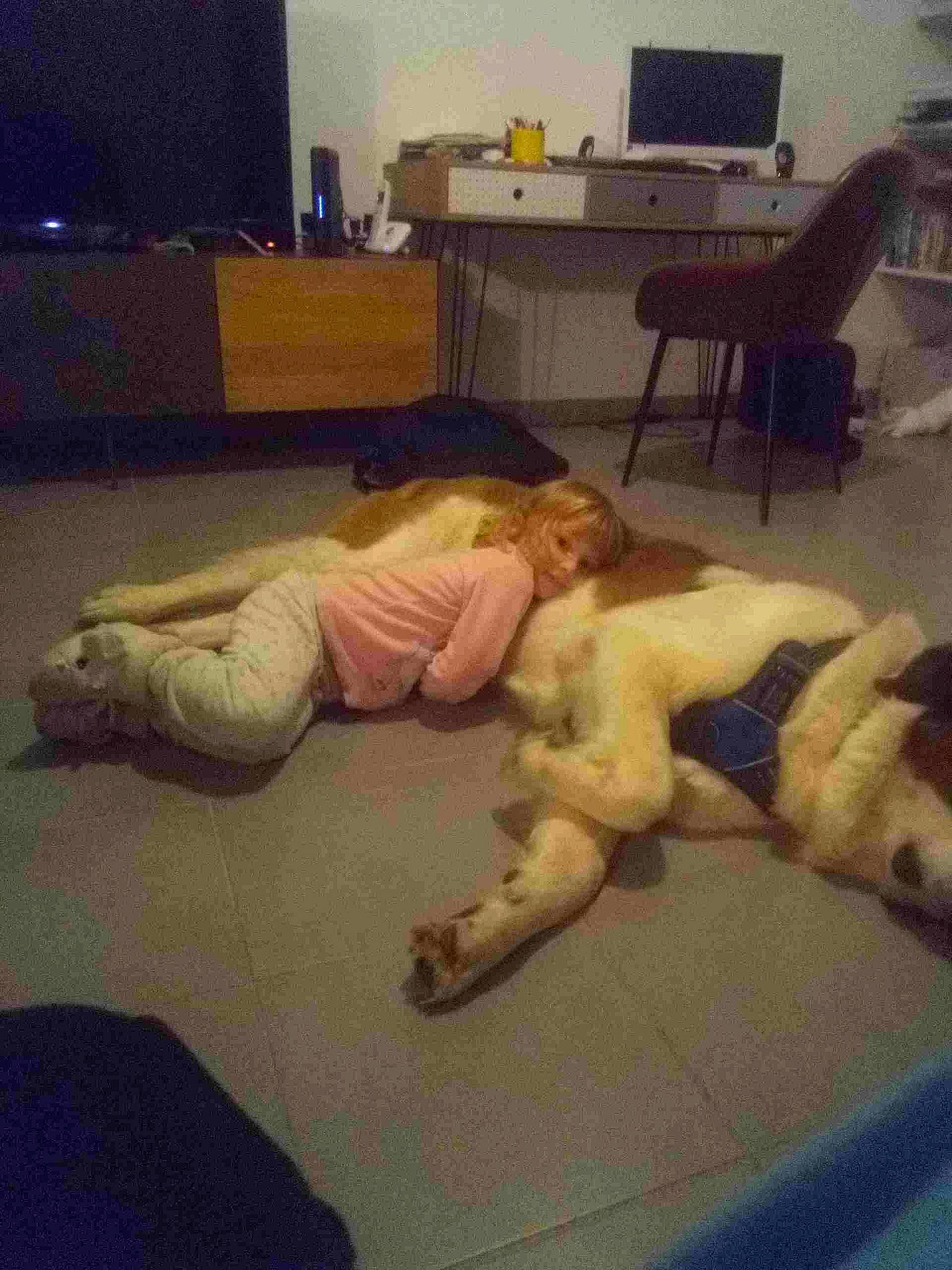 Sweety participe au concours pour gagner de l'argent avec cette photo : chair, cloud, comfort, companion_dog, fawn, floor, flooring, foot, fun, hand, human_body, human_leg, knee, lap, leg, room, sky, thigh, trunk, wood