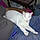Mitty