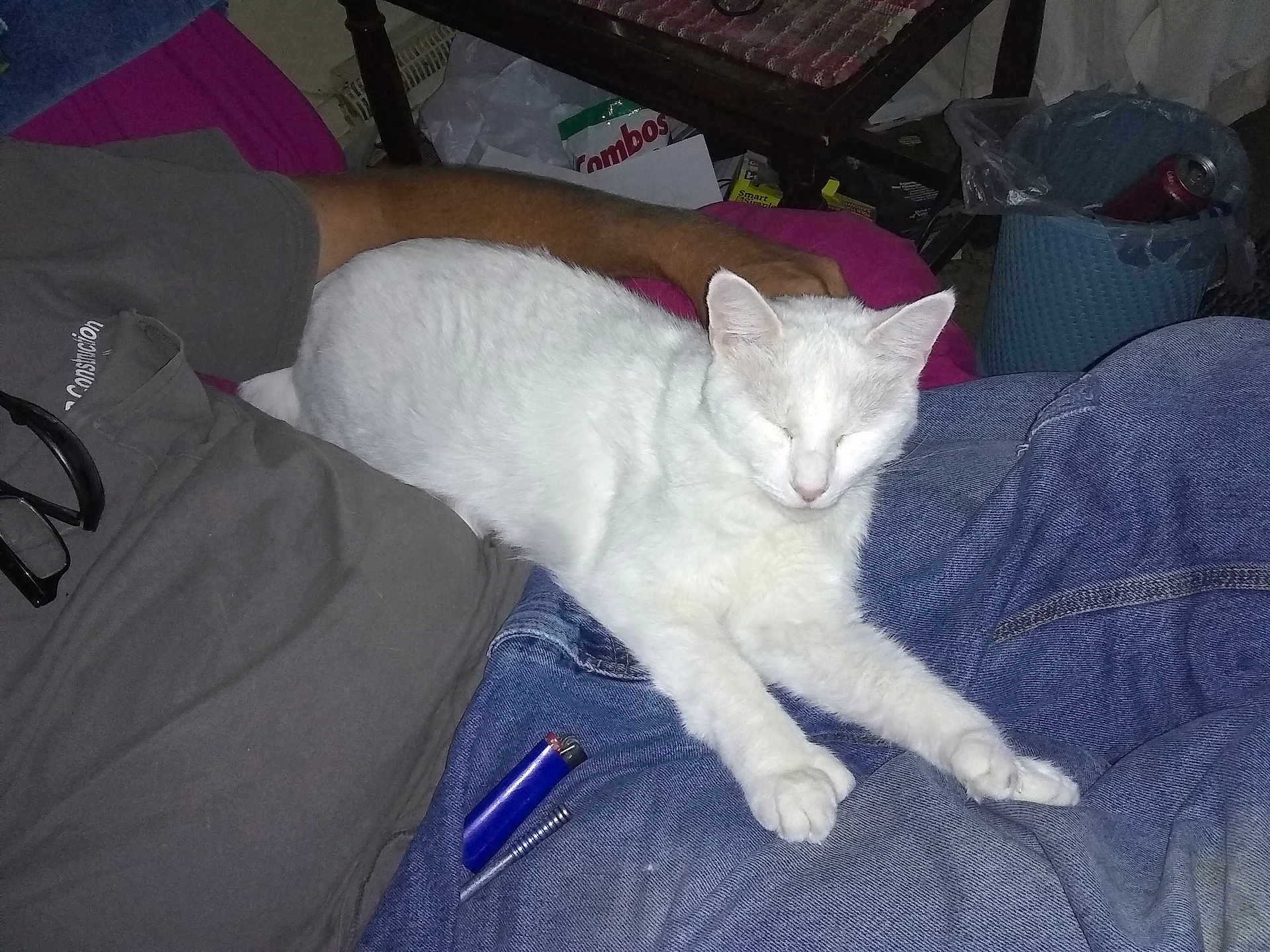 Mitty