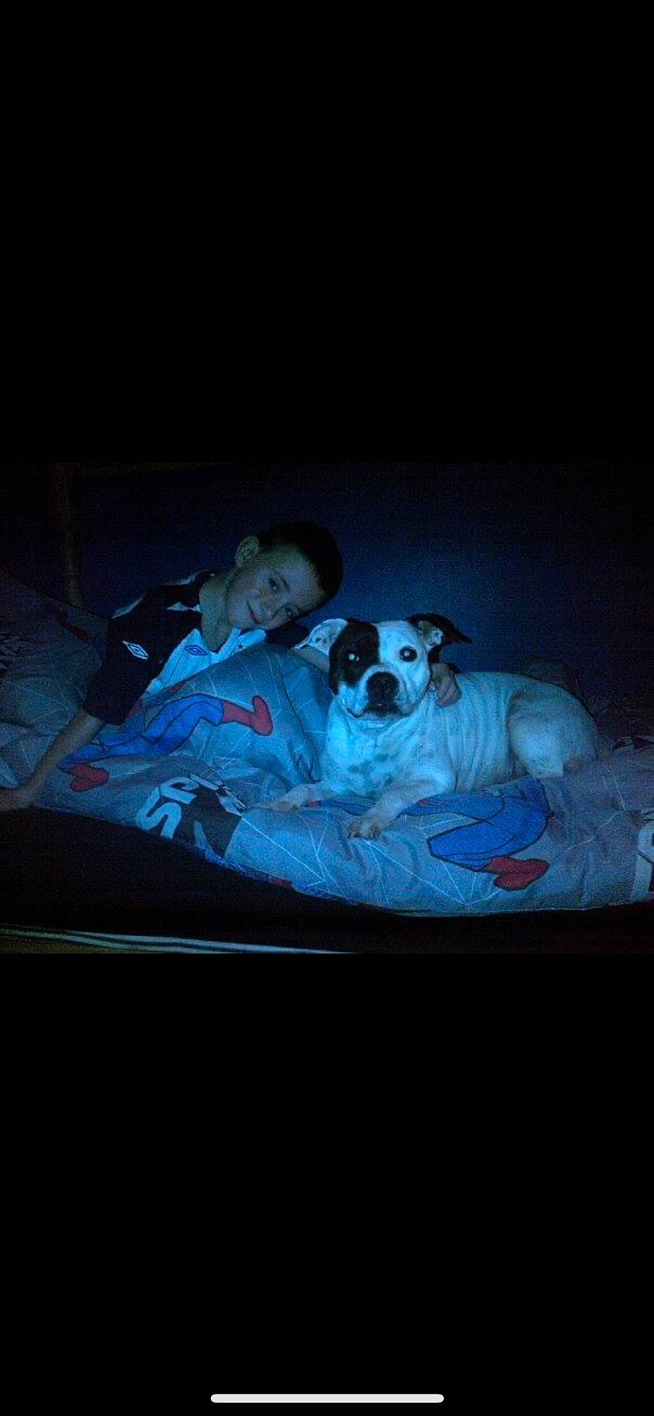 Tia is registered to the contest to win money with this photo: art, ball, carnivore, comfort, companion_dog, couch, darkness, dog, dog_breed, dog_supply, flash_photography, linens, nap, night, painting, room, sitting, t_shirt, toy_dog, visual_arts