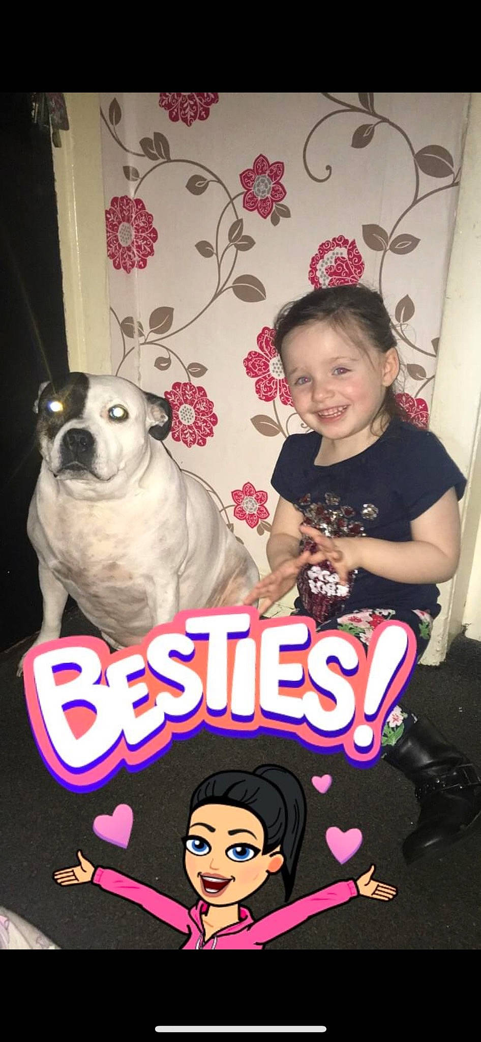 Tia joined the competition — help win amazing prizes! carnivore, companion_dog, dog, dog_breed, dog_supply, event, fawn, font, happy, mammal, paw, pet_supply, photo_caption, pink, poster, sleeve, smile, t_shirt, toddler, toy_dog