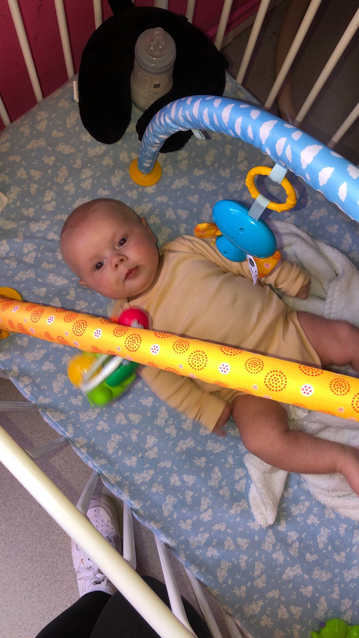 Maxime a rejoint le concours — aidez-le/la à gagner de superbes lots ! baby, baby_carriage, baby_products, baby_safety, baby_toddler_clothing, baby_toys, child, comfort, facial_expression, finger, fun, head, human_body, infant_bed, leisure, orange, person, product, skin, toddler