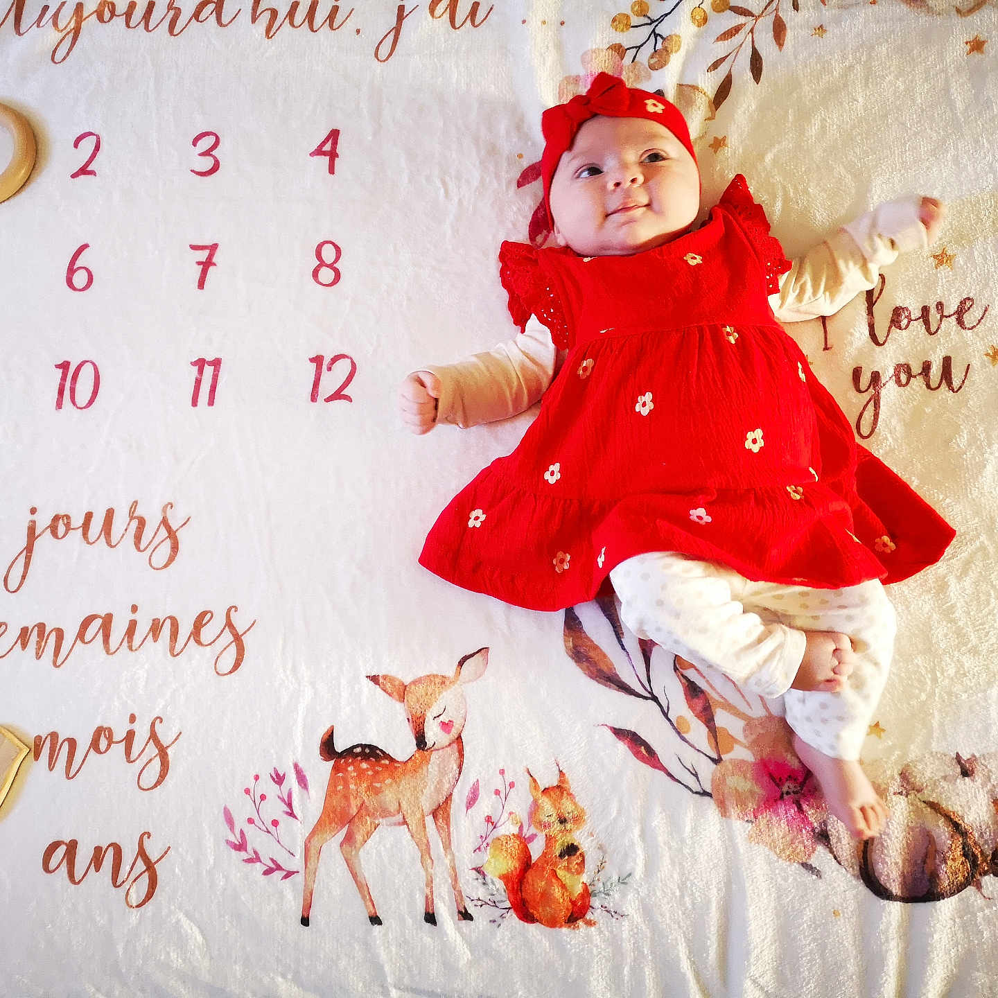 Sofia participe au concours pour gagner de l'argent avec cette photo : baby, blanket, child, cute, deer, flower, french_text, headband, illustration, infant, lying_down, numbers, pattern, red_dress, smiling, soft_texture, squirrel, text, warm_colors, woodland_animals
