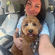 Teddy joined the competition — help win amazing prizes! bow, car_interior, casual_clothing, companion, cute, dog, fluffy_dog, happy, holding, indoors, leather_seats, pet, portrait, seatbelt, selfie, short_sleeves, smiling, sunlight, travel, woman