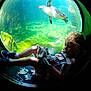 Alissio participe au concours pour gagner de l'argent avec cette photo : child, aquarium, penguin, underwater, circular_window, stuffed_animals, pacifier, curly_hair, blue_shoes, striped_shirt, legs, glass, water, rocks, light_reflections, indoor, animal, cute, relaxing, exploration