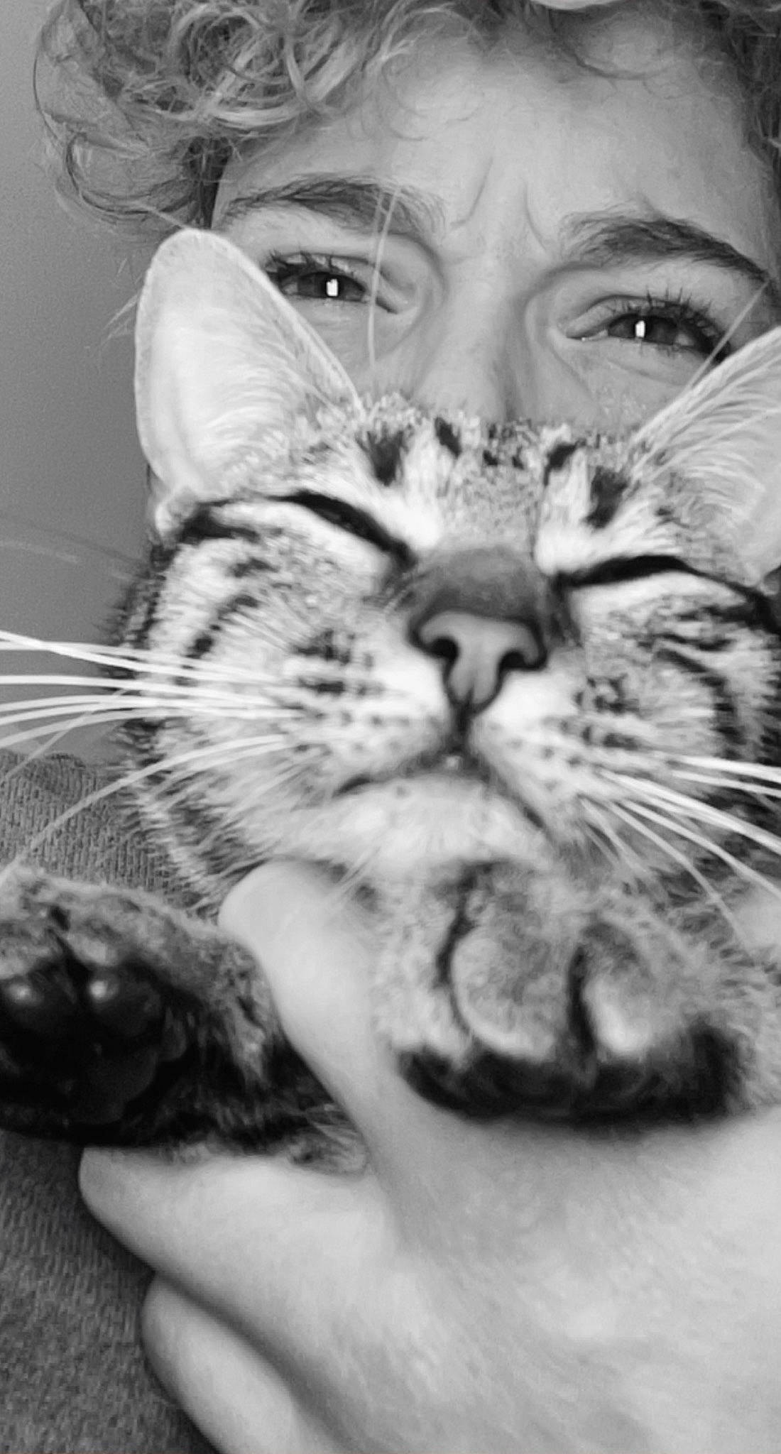 Isis a rejoint le concours — aidez-le/la à gagner de superbes lots ! black_and_white, carnivore, cat, ear, eye, felidae, gesture, human_body, iris, jaw, monochrome, mouth, nose, organ, organism, photograph, small_to_medium_sized_cats, style, whiskers, white