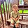 Jaxson