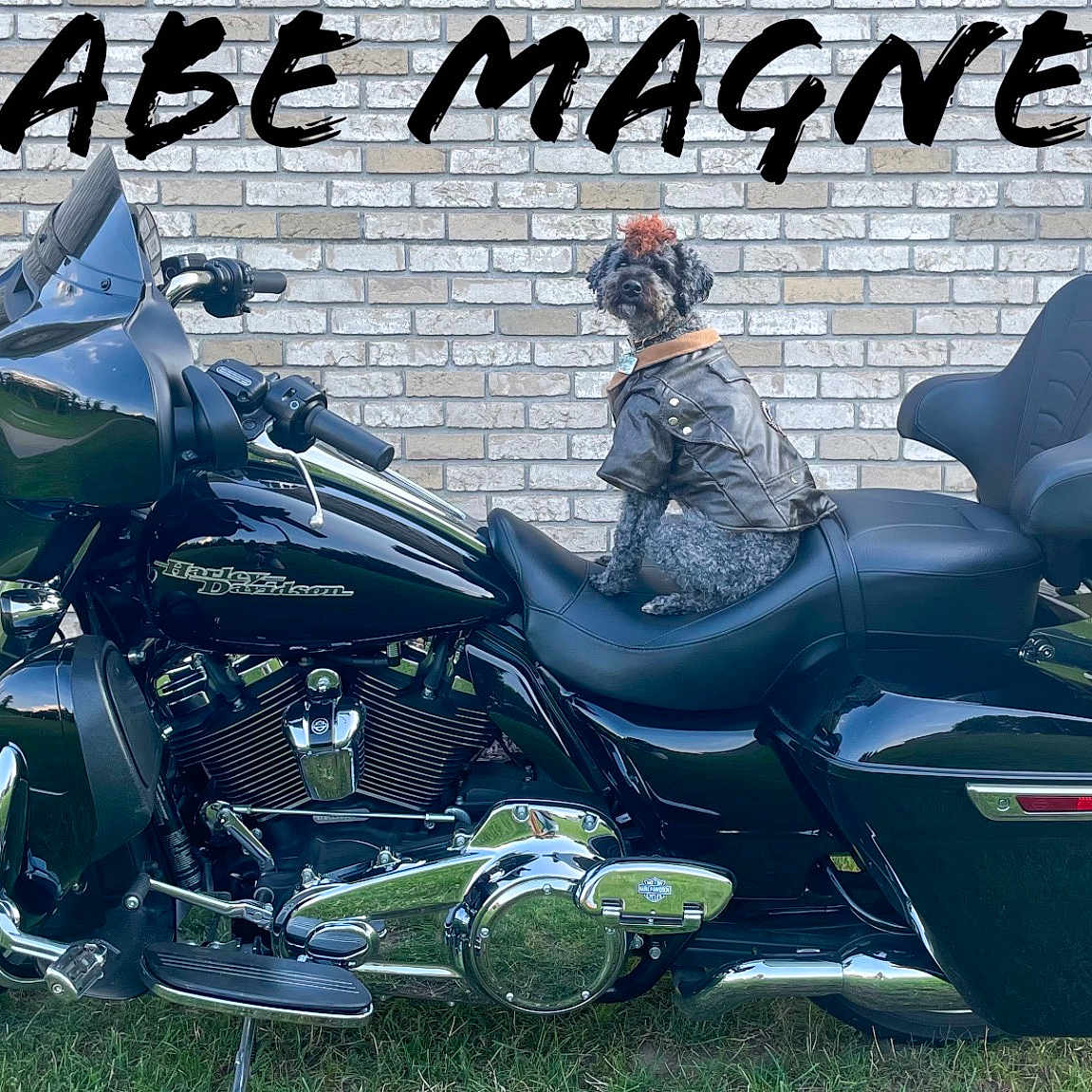 Ross joined the competition — help win amazing prizes! alloy_wheel, automotive_design, automotive_exhaust, automotive_exterior, automotive_fuel_system, automotive_lighting, automotive_tire, exhaust_system, fuel_tank, headlamp, motor_vehicle, motorcycle, motorcycle_accessories, motorcycling, rim, tire, vehicle, vehicle_brake, wheel, window