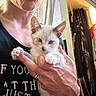 Ghosty is registered to the contest to win money with this photo: person, kitten, cat, indoor, hand, face, curtain, clothing, ring, pet, animal, feline, holding, closeup, domestic, light, shadow, background, window, home