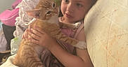 Ginger joined the competition — help win amazing prizes! animal, bed, blanket, cat, child, comfort, cozy, cuddle, cute, furniture, human, indoor, orange_tabby, person, pet, plush_toy, resting, sleepwear, soft_lighting, warm