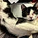 Tuxey