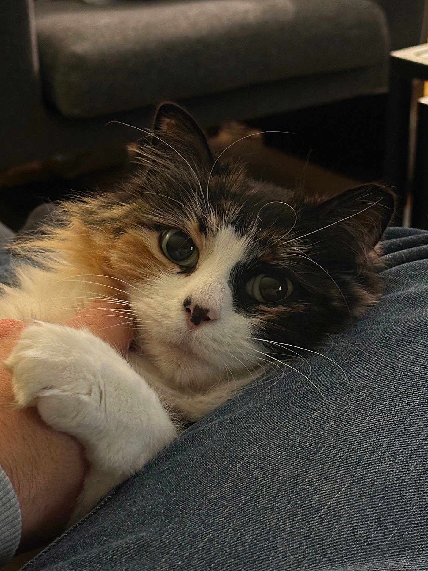 Mia