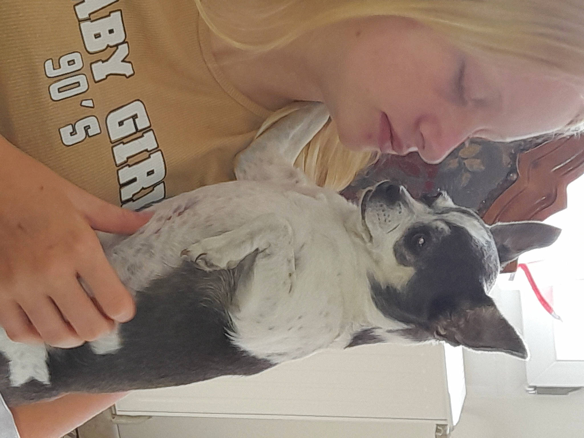 Margaux a rejoint le concours — aidez-le/la à gagner de superbes lots ! art, canidae, carmine, carnivore, comfort, companion_dog, dog_breed, ear, eyelash, fawn, felidae, fur, gesture, illustration, jaw, nail, paw, person, small_to_medium_sized_cats, whiskers