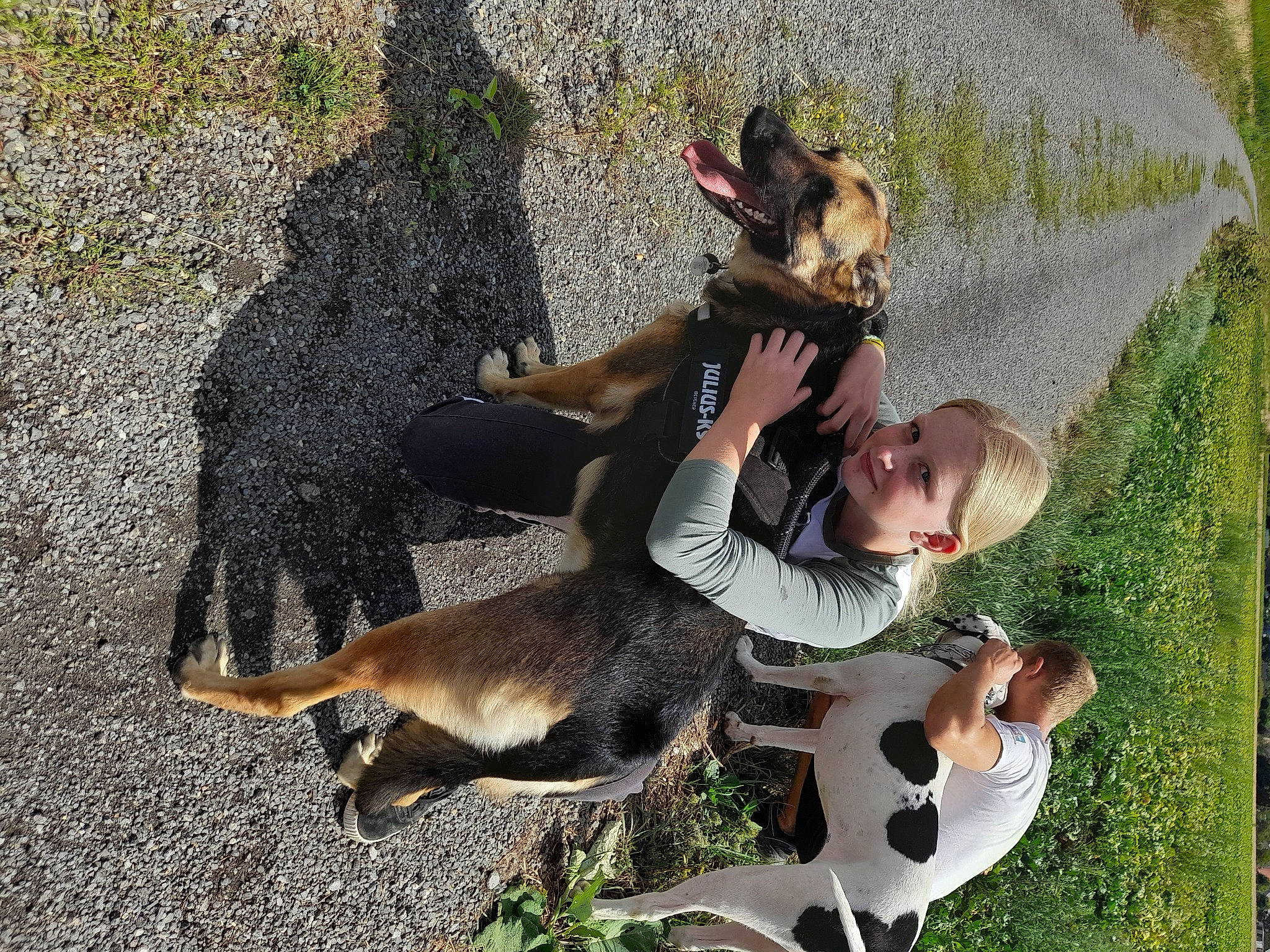 Margaux participe au concours pour gagner de l'argent avec cette photo : canidae, carnivore, companion_dog, dog, dog_breed, fawn, fun, fur, grass, happy, joy, leisure, mammal, people_in_nature, person, plant, recreation, smile, soil, sporting_group