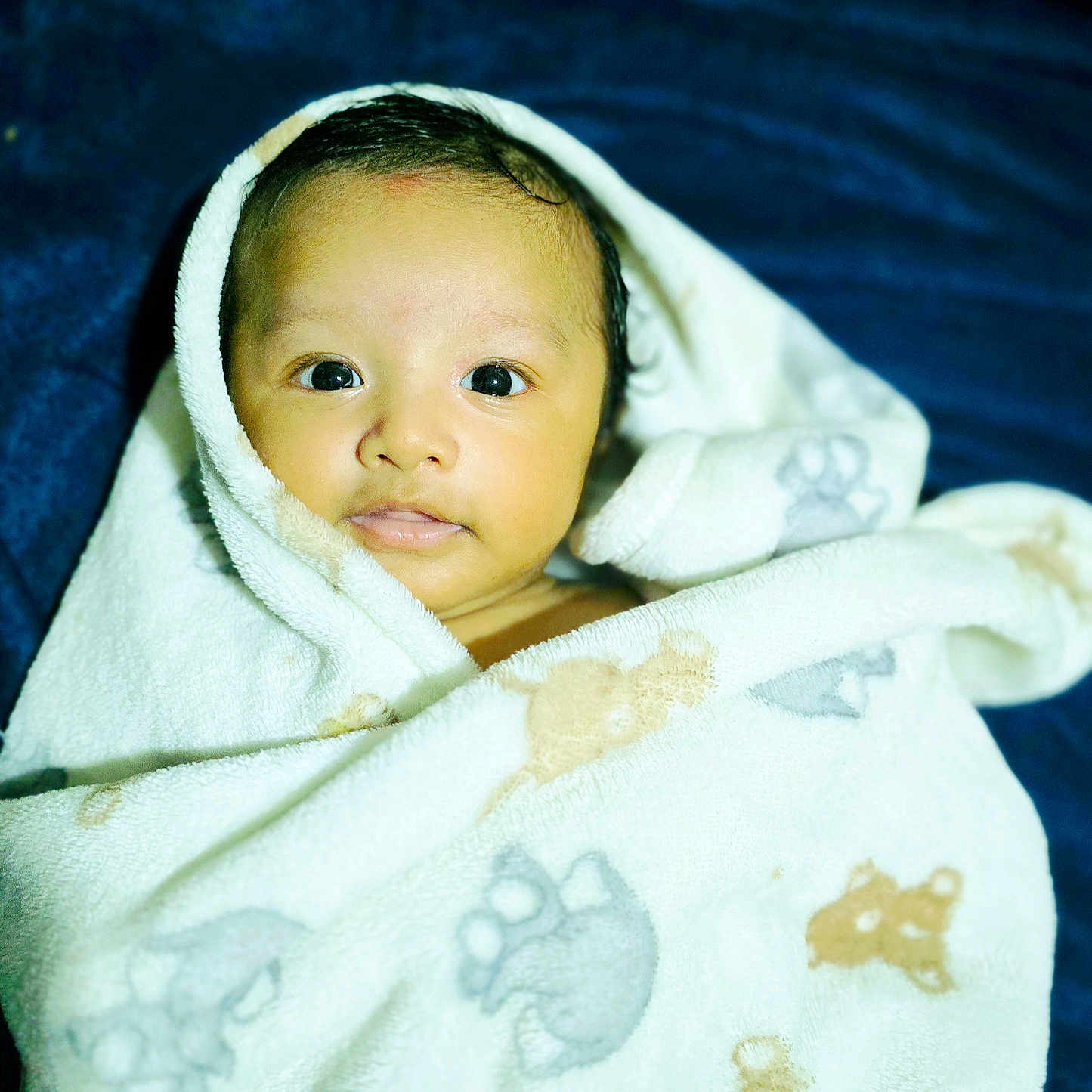 Aviraj is registered to the contest to win money with this photo: animal_print, baby, blanket, child, comfort, cozy, cute, expression, eyes, face, head, indoors, infant, newborn, portrait, skin, soft, towel, warm, wrapped